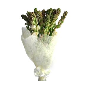 Rajanigandha in a Bouquet