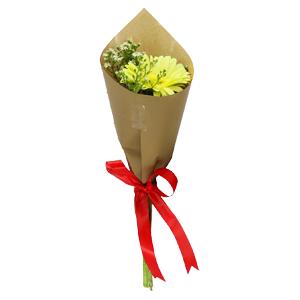 single gerbera with fillers