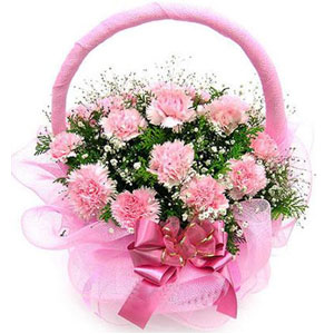 15pcs Pink Carnations in a Basket