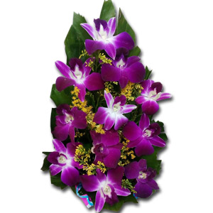 Orchids in a Basket