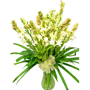 Rajanigandha in a vase