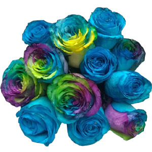 (25) Lovely rainbow and blue roses in boqueut