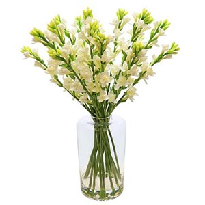 Rajanigandha in a Vase