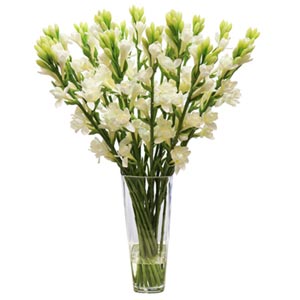Rajanigandha in a Vase