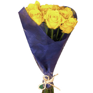 1 Dozen Yellow Roses 