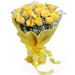 2 dozen yellow roses