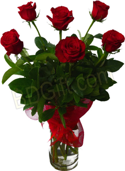 (46)6 pcs red roses in a glass vase 