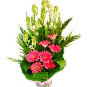 Gerbera & Raghanighandha in basket