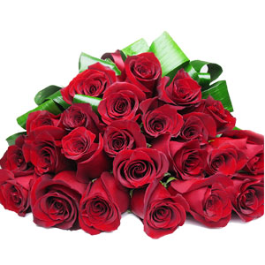 24 pieces red roses in a bouquet
