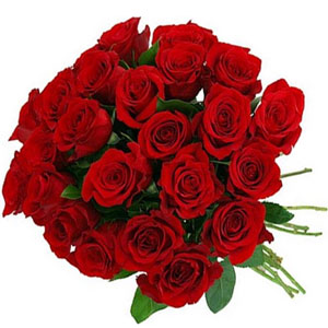 24 pieces red roses in a bouquet
