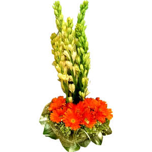Rajanigandha and Gerbera in a Basket