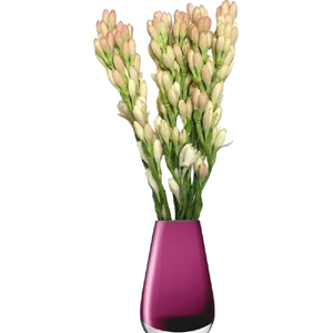 Rajanigandha in a vase