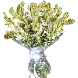 Two dozen Rajanigandha in a Bouquet