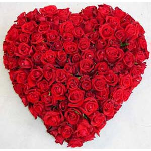 (06) Heart Shaped Roses W/100 Roses