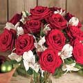 1 dz roses 
