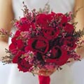 Red Rose