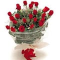 2 dz Red Roses
