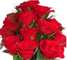 Red Rose