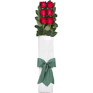 (005) 6 pcs red roses in a Box
