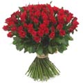 (40) 100 pieces red roses