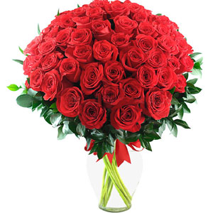 (37) 60 pieces red roses in a vase