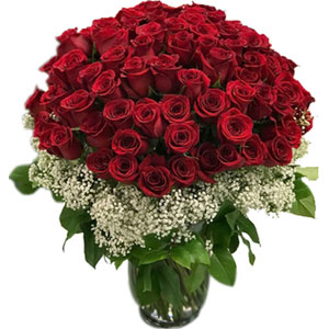 (36) 50 pieces red roses in a vase