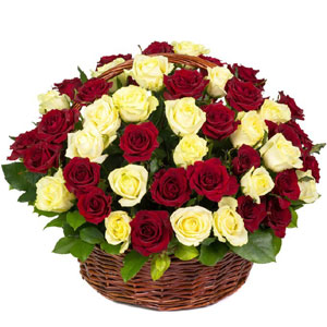 (12) 4 dozen red & off white roses in a basket