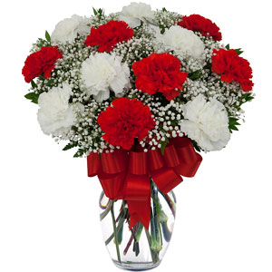 (51)12 Pieces Mixed Carnations