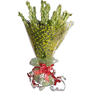 Rajanigandha in a Bouquet