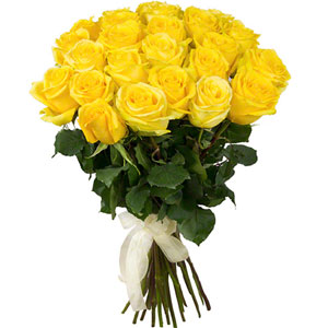 (41)Yellow 2 dz