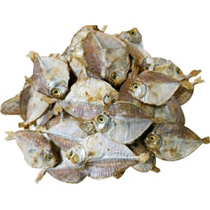 (64) Small Dried Fish-2