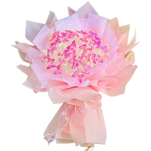 Butterfly Bouquet Pink (Light String)