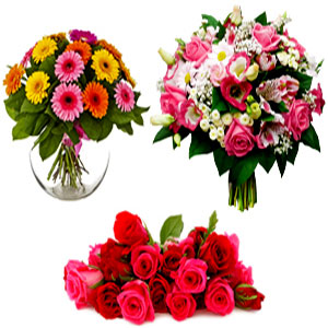 Online flower shop in Bangladesh 