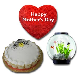 Cake W/ Aquarium & Pillow