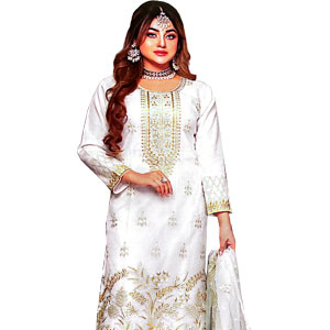 Organza Salwar kamiz