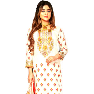 Organza Salwar kamiz
