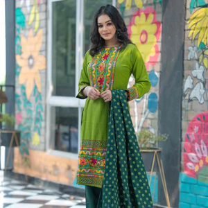 (10) Heer Salwar Kamiz