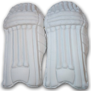 Cricket pad