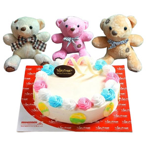 Cake & Cuddle Delight
