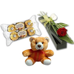 (27) Teddy Bear W/ Chocolates & Flowers