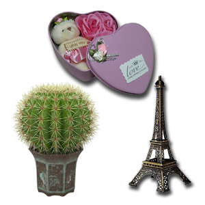 Love Box W/ Eiffel Tower and Cactus plant
