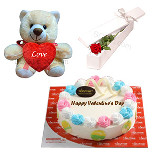 (0006) Teddy, Cake and Roses Surprise