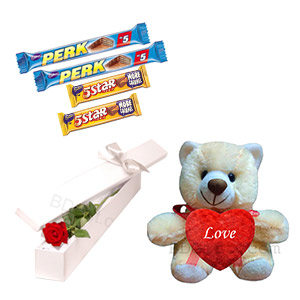 Rose & Teddy Treat W/ Chocolates